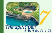 The spirit Bali 5วัน4คืน